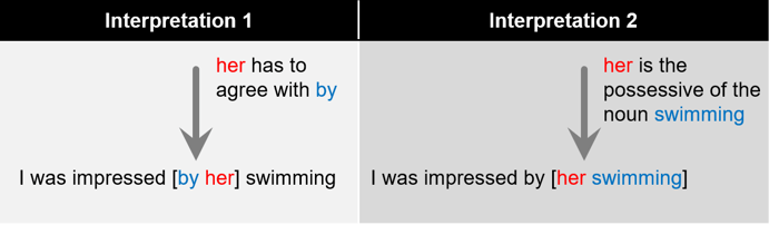 Linguistic Diagram of Prononoun Ambiguity 2